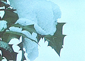 Gallery 1-12