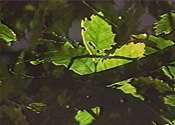 Gallery 1-4