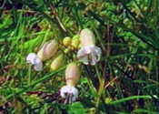 Gallery 1-11
