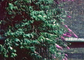 Gallery 1-12